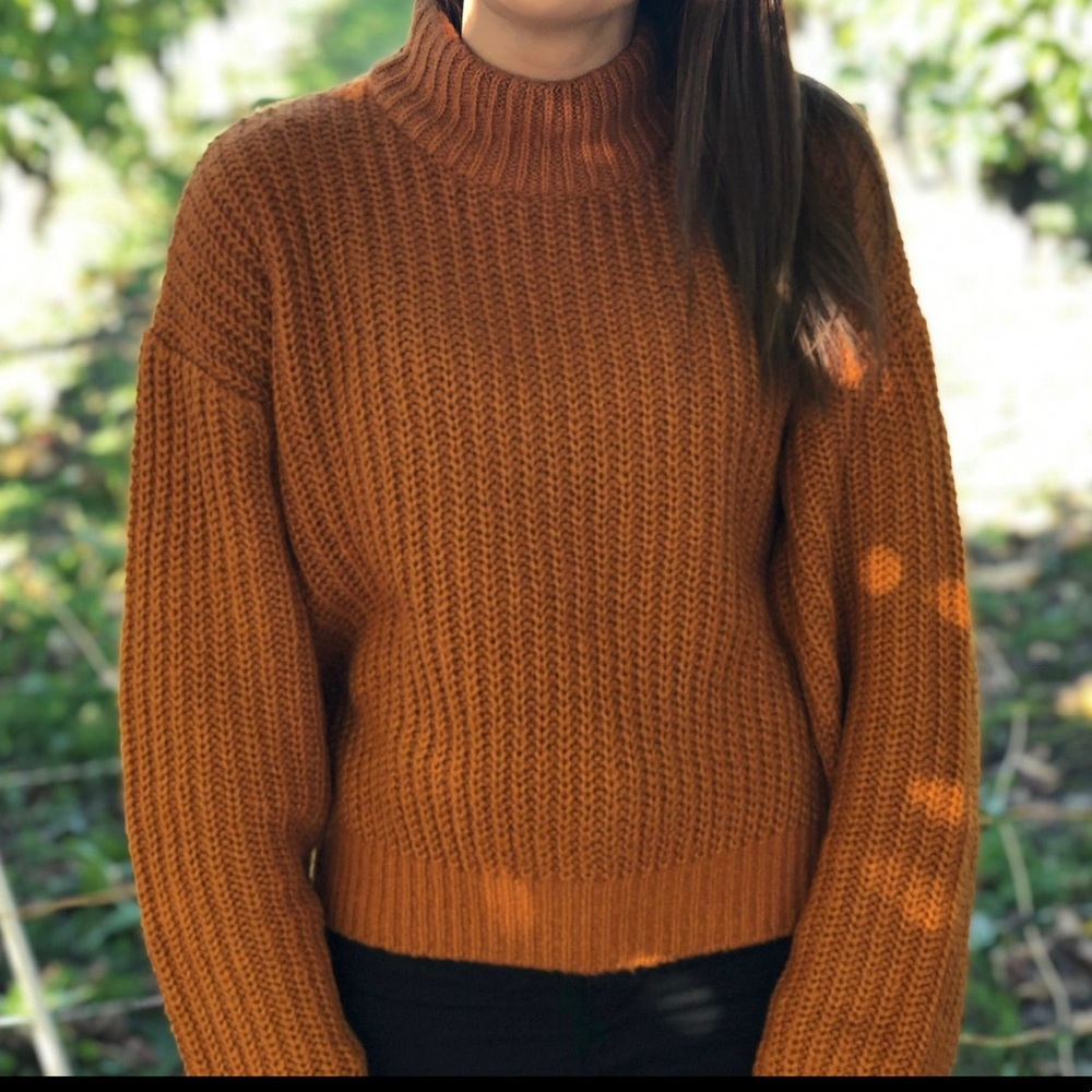 Burnt orange knit turtleneck sweater